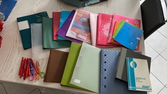 gros lot scolaire classeurs cahiers porte vue etc