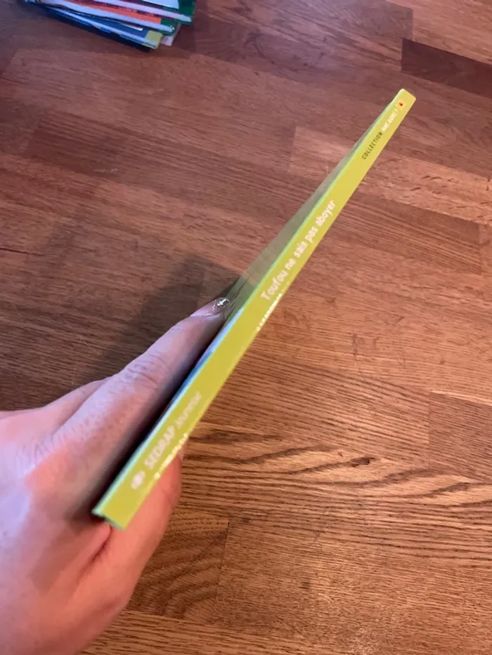 Livre Toufou ne sait pas aboyer - photo numéro 2