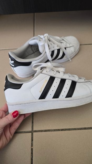 Adidas superstar pointure 36 2/3