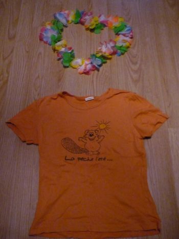 Joli t-shirt MC orange recto verso message un castor la peche l'été et à plat l'hiver taille 2 femme