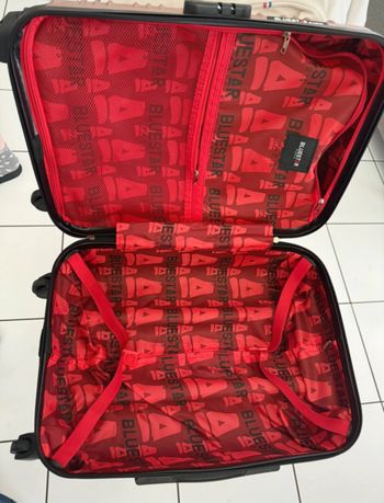 Valise rose