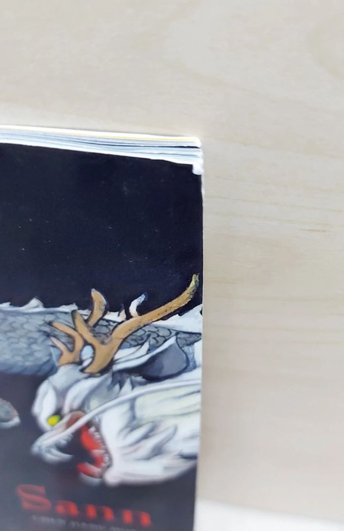 🌺 Livre (école des loisirs) : Sann - photo numéro 7