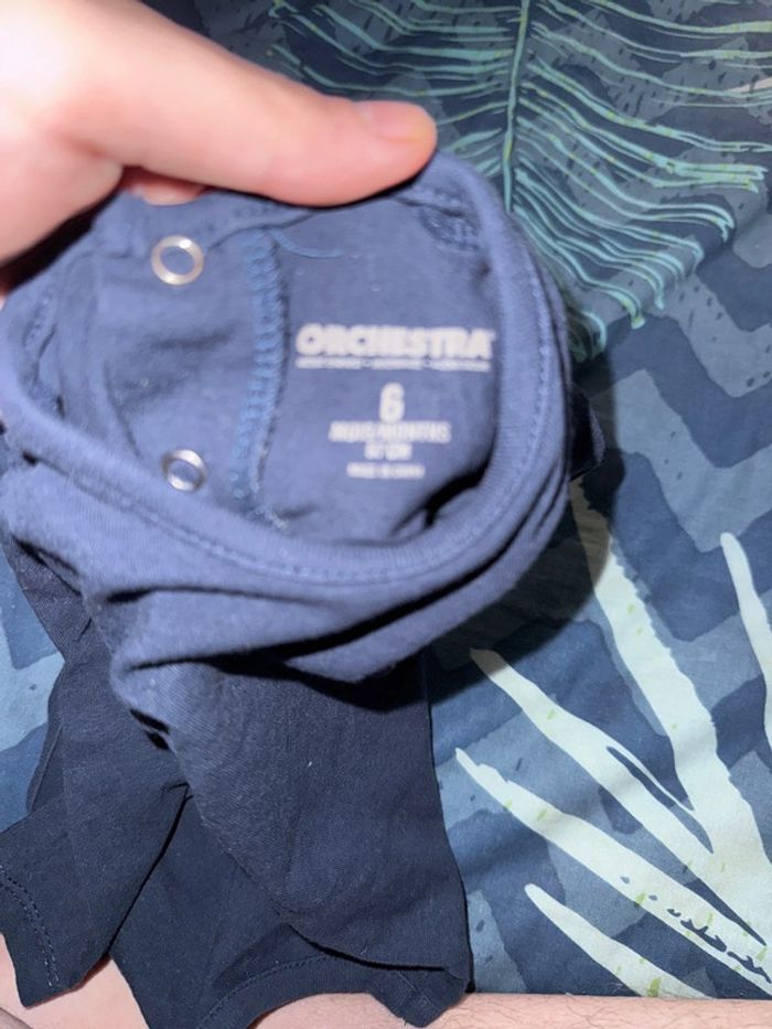 Bodie 6 mois - photo numéro 4