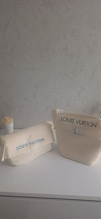 Sac à main Louis Vuitton 