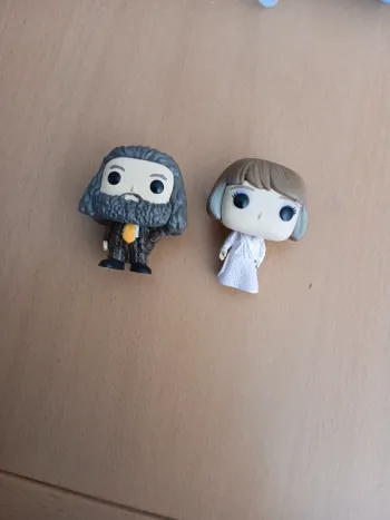 Hagrid et mme maxime mini pop