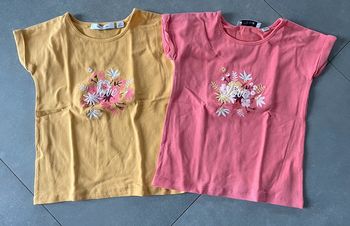 Lot 2 tee-shirts BBF - 24mois