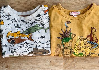 Lot  de deux. T-shirts. Du pareil, au même 92 cm/2 ans.