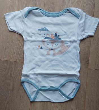 Body MC renard indien