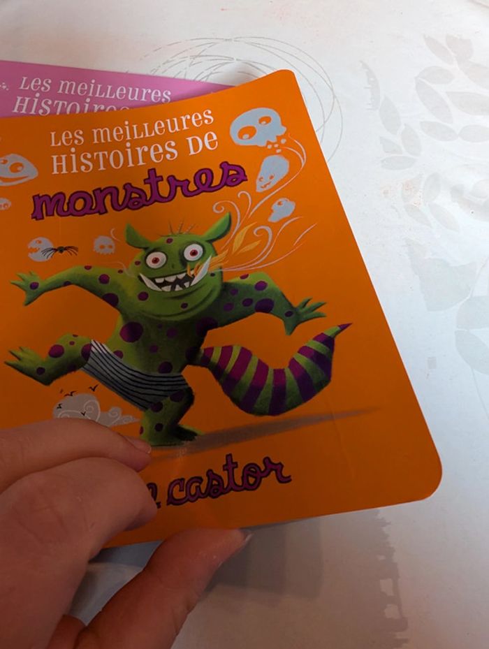 Lot Père castor - photo numéro 4