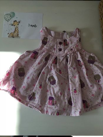 Robe 3m orchestra