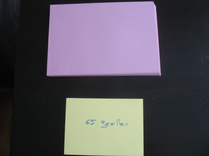 LOT DE 65 FEUILLES A4 - LILAS - 120 GR - n°35 - photo numéro 2