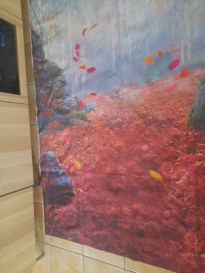 Toile de fond Reine des Neiges 2m50 × 1m50 environ - photo numéro 5