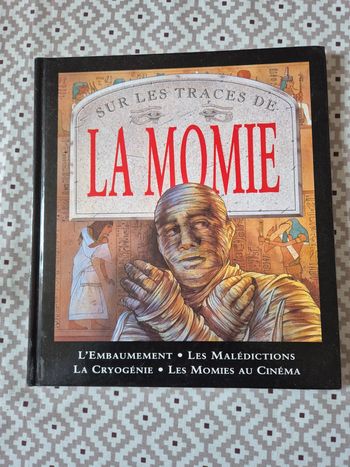 Livre sur les traces de la Momie