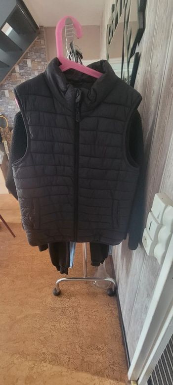 Vestes