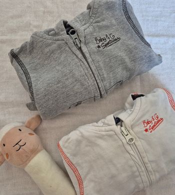 Lot vestes à capuche