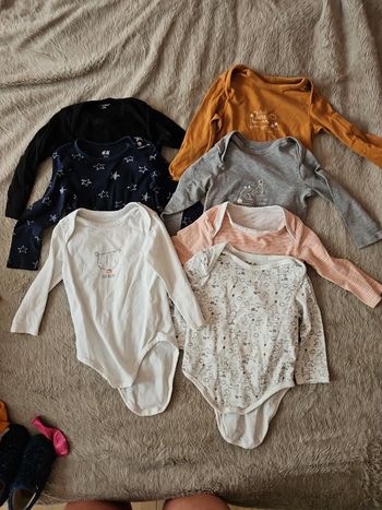 Lot bodies ml