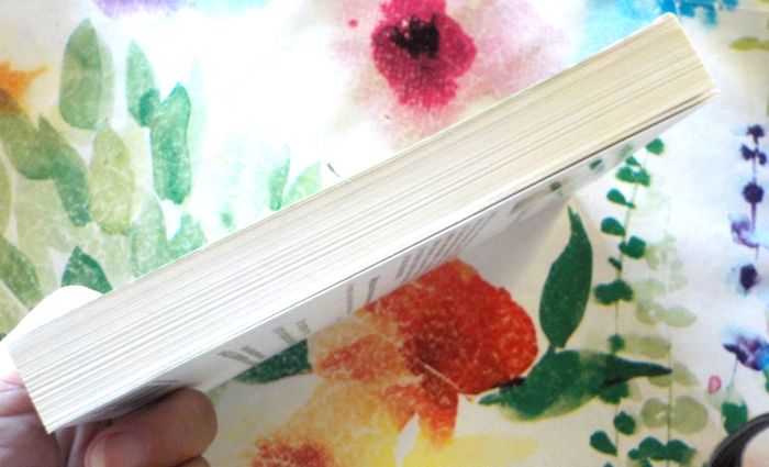 COMPLETEMENT CRAME de Gilles LEGARDINIER Ed. Pocket - photo numéro 5