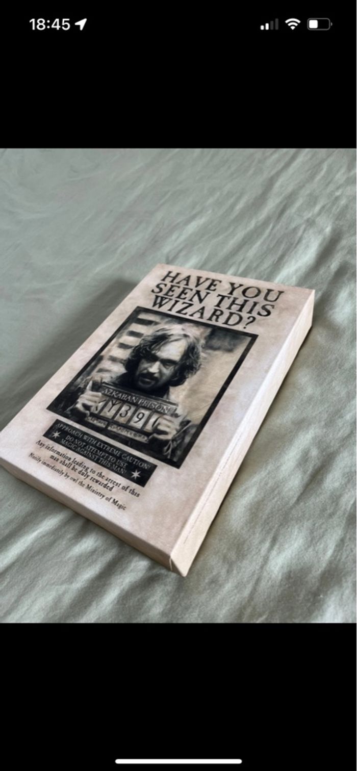 Cadre lumineux Harry Potter Sirius Black - photo numéro 3