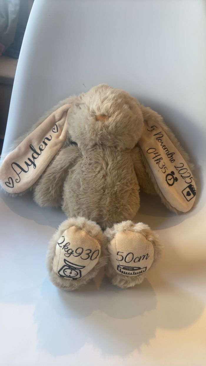 Lapin de naissance - photo numéro 4