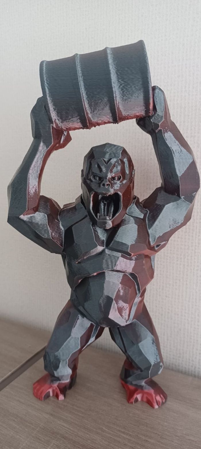 Gorille - photo numéro 3