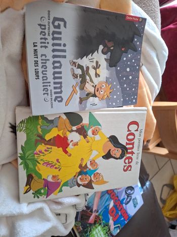 Lot 2 livre enfant