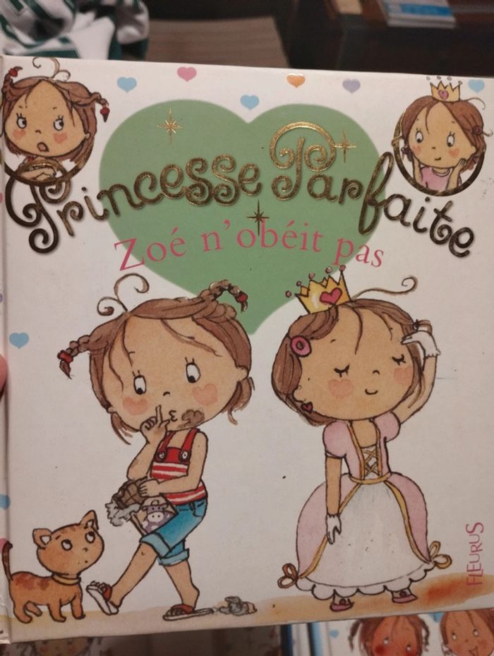 Lot de 8 livres princesse parfaite - photo numéro 6