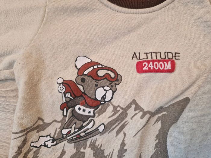 2 sweats garçon, 24M - photo numéro 2