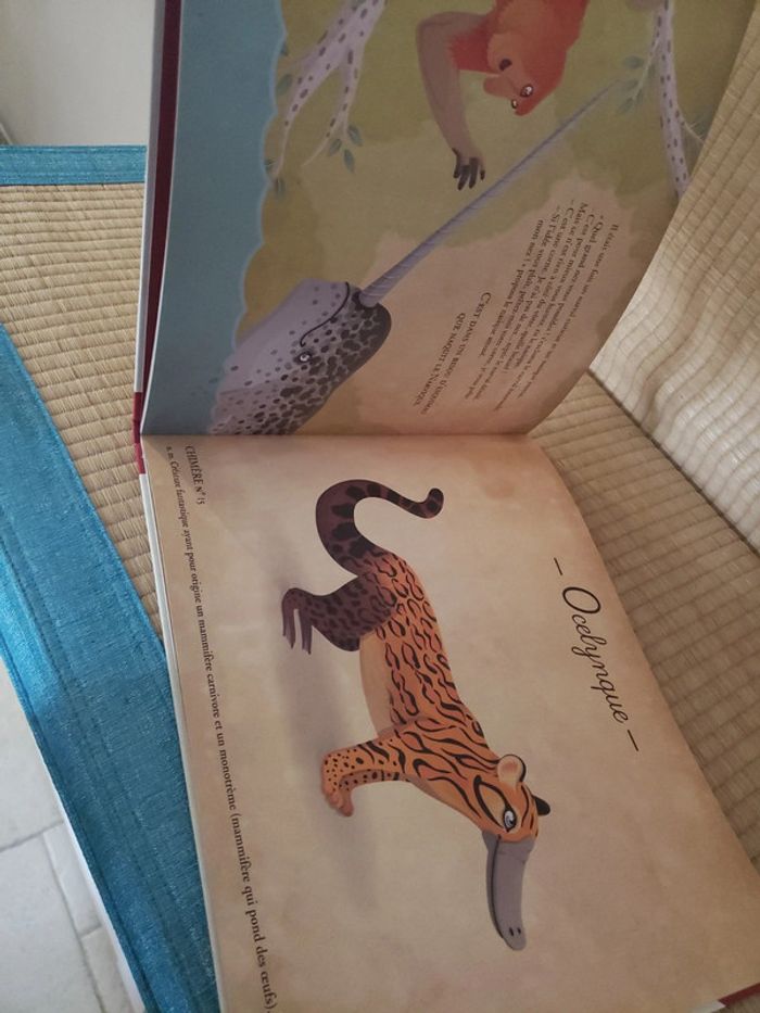 Araraignée, Bernaleine, Calmaléon et autres animaux peu ordinaires - photo numéro 5