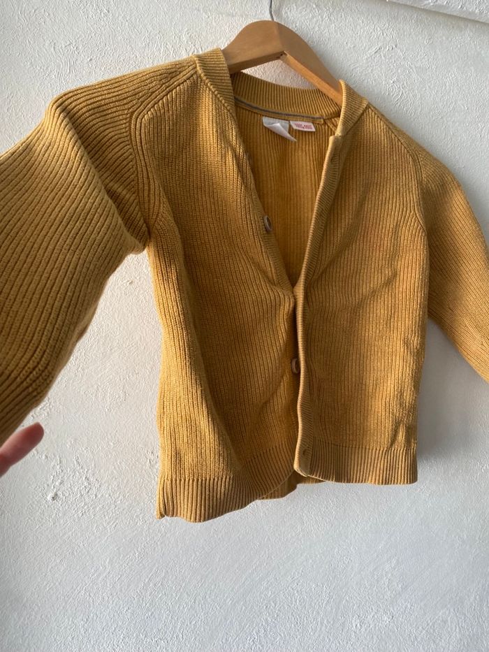 Gilets - photo numéro 4