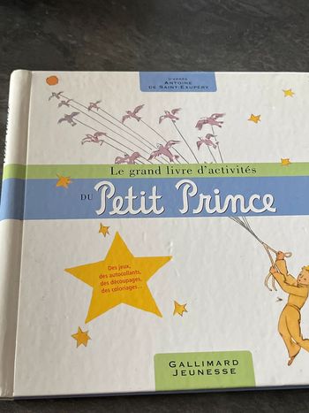 Livre jeunesse le grand livre d’activité du petit prince
