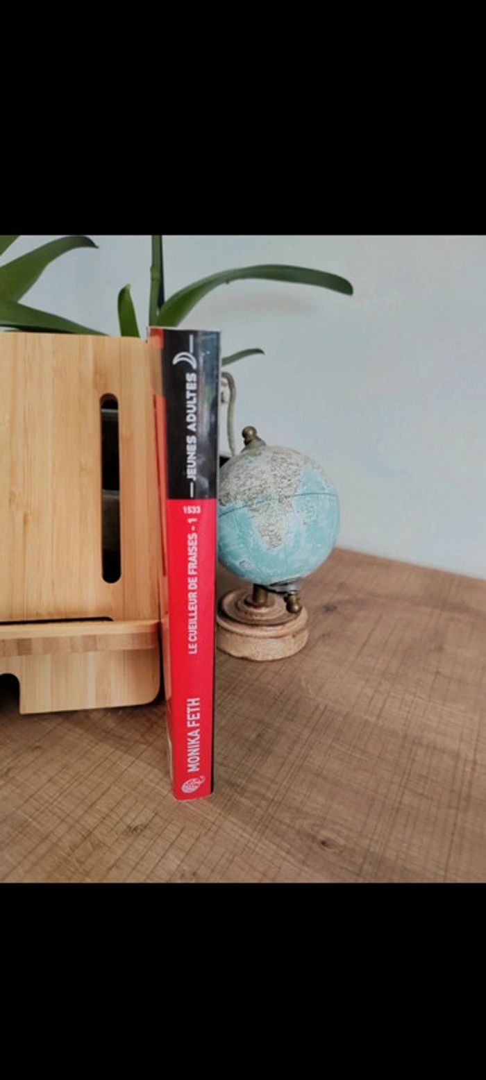 📚Le cueilleur de fraises de Monika Feth - photo numéro 4