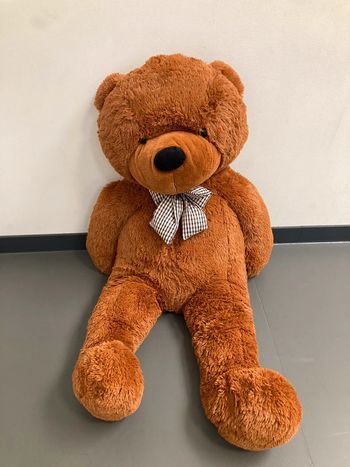 Ours en peluche géant