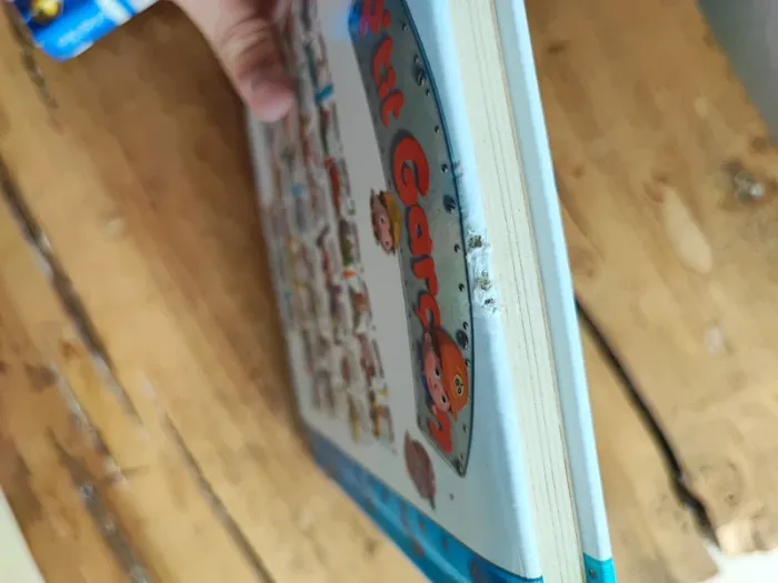 Lot de 5 livres p'tit garçon - photo numéro 10