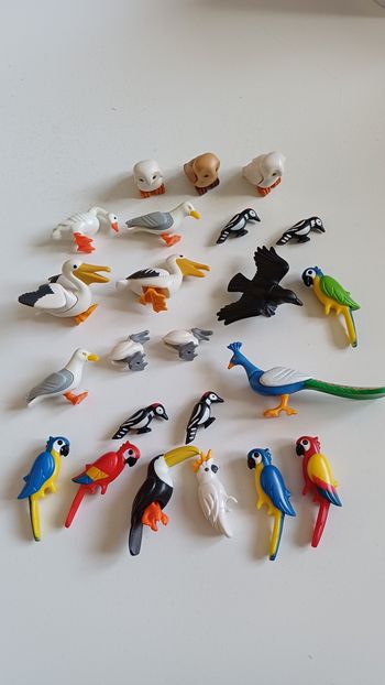 Famille les oiseaux playmobil