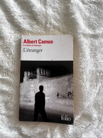 Albert camus, l’étranger