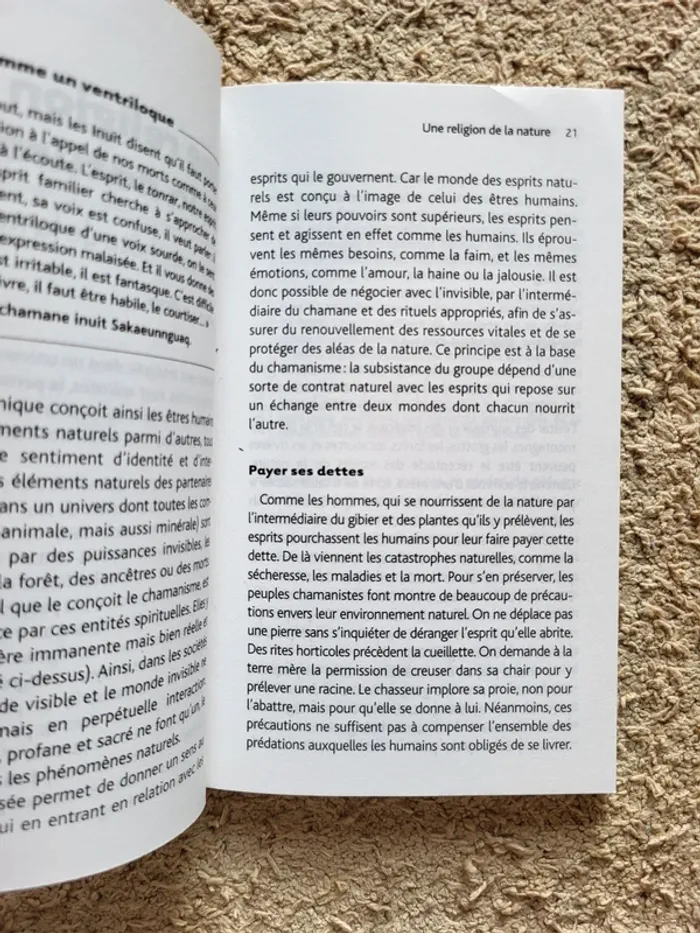 Livre "20 clés pour comprendre le chamanisme" - photo numéro 8