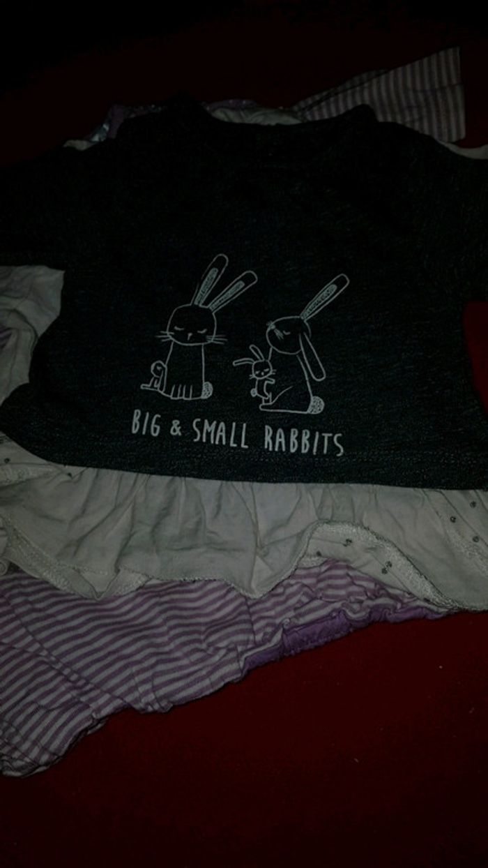 Lot 7 t-shirt fille 1 mois - photo numéro 4