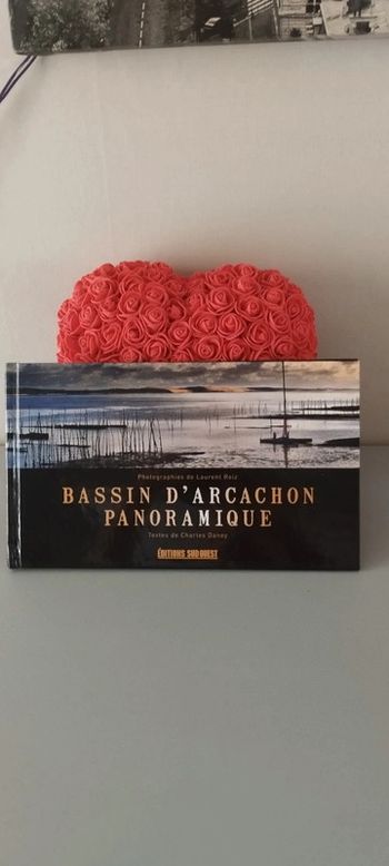 Bassin d'Arcachon panoramique