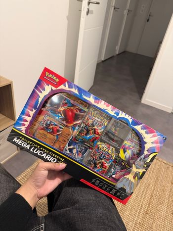 Coffret mega lucario x2