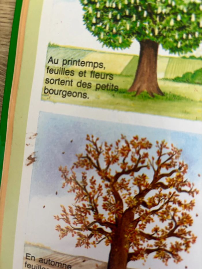 Livre L’Imagerie de la Nature Pour Enfants - photo numéro 10