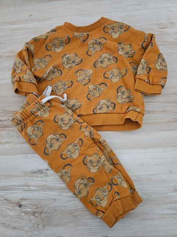 Ensemble simba
