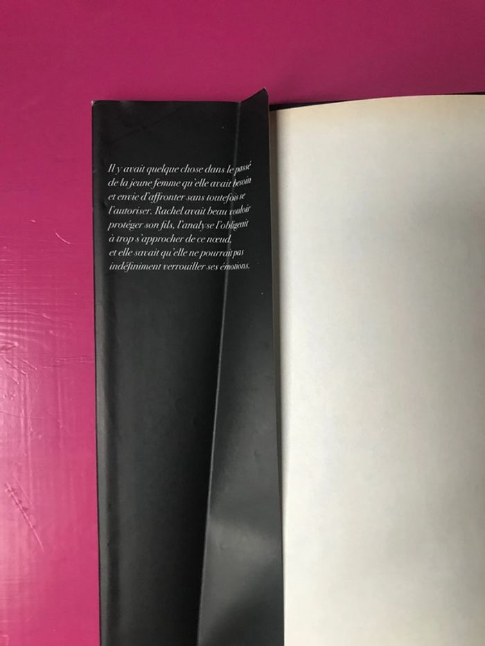 Livre « L’héritage du sang » de Kitty Sewell - photo numéro 2