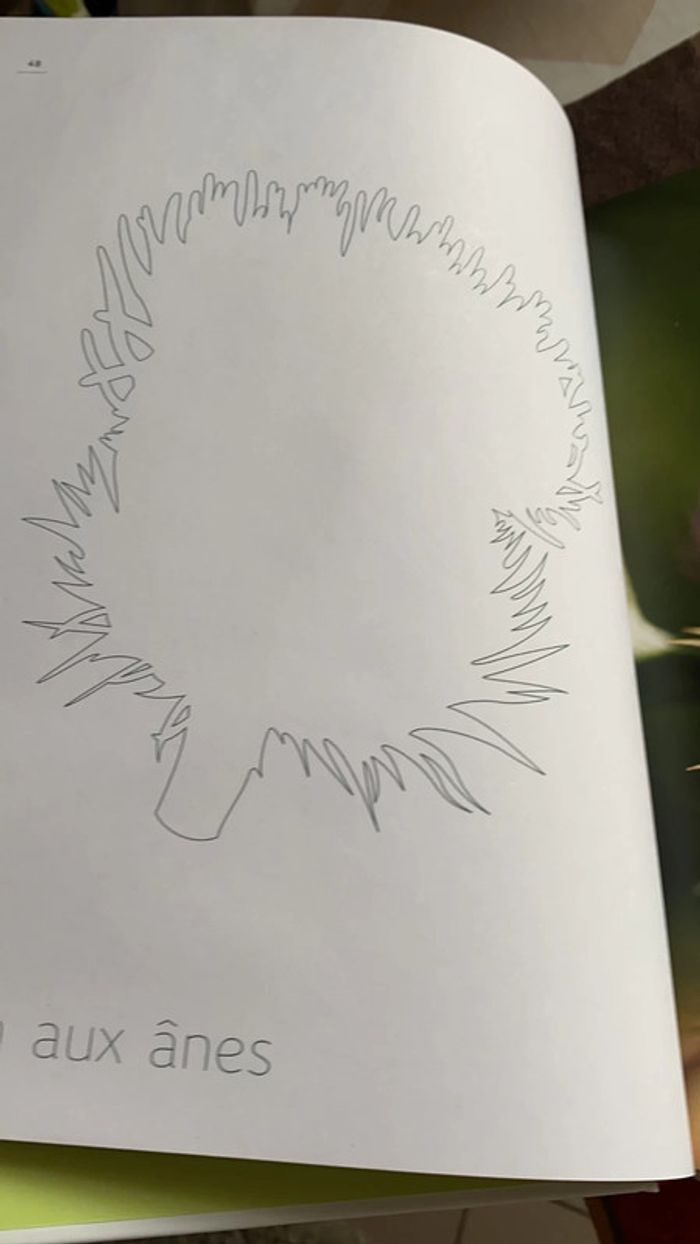 Livre mon herbier 48 plantes à connaître, à collectionner et à conserver tana éditions - photo numéro 2