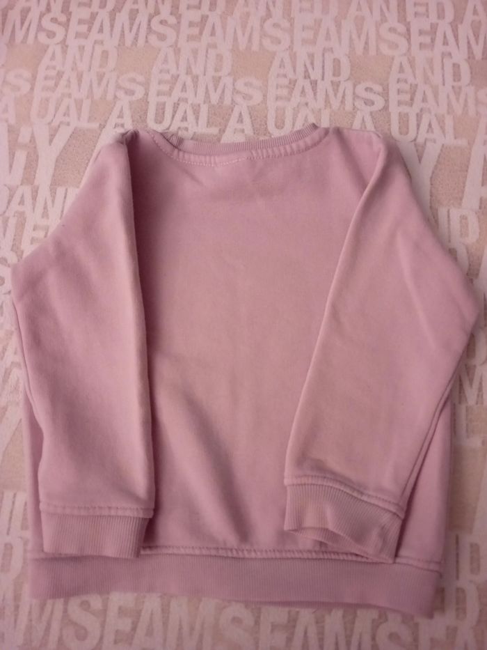 Sweat papillon 🦋 en 2 ans Palomino - photo numéro 6