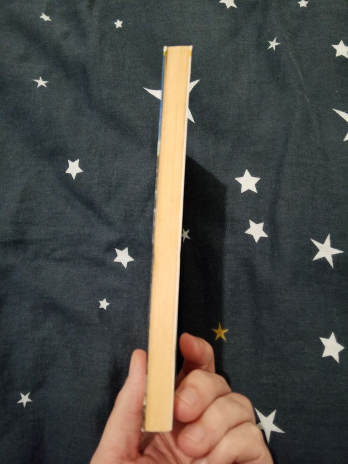 Livre (100) 📚 Le faucon déniché - photo numéro 4