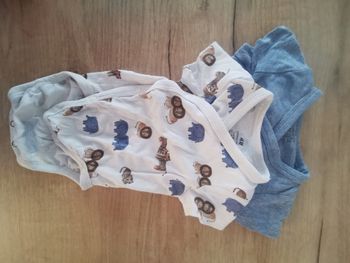 Bodies manche courte