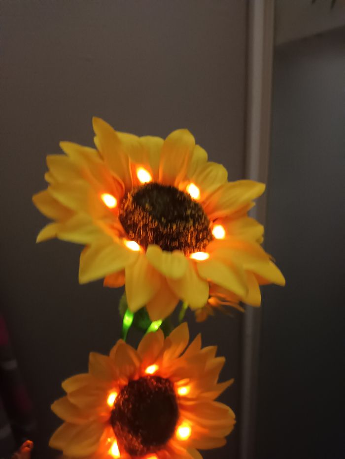 Lumière decorative - photo numéro 6