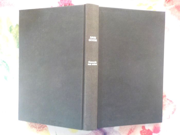 DESCENTE AUX ENFERS de David GOODIS Ed. France Loisirs - photo numéro 2