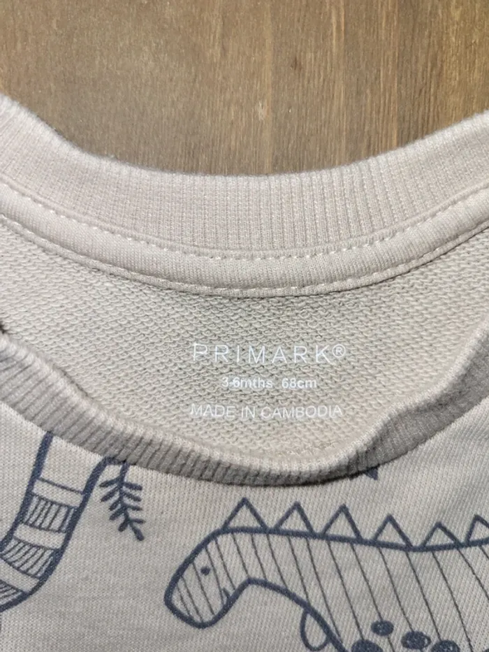 Pull dinosaure primark 6 mois - photo numéro 2
