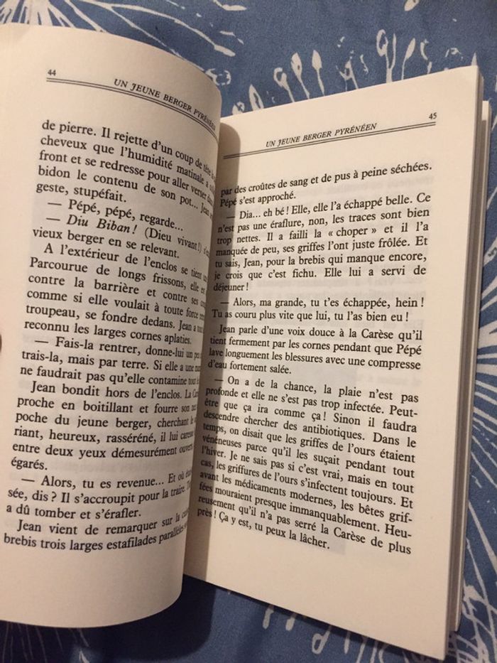 Jean de l’ours - photo numéro 4